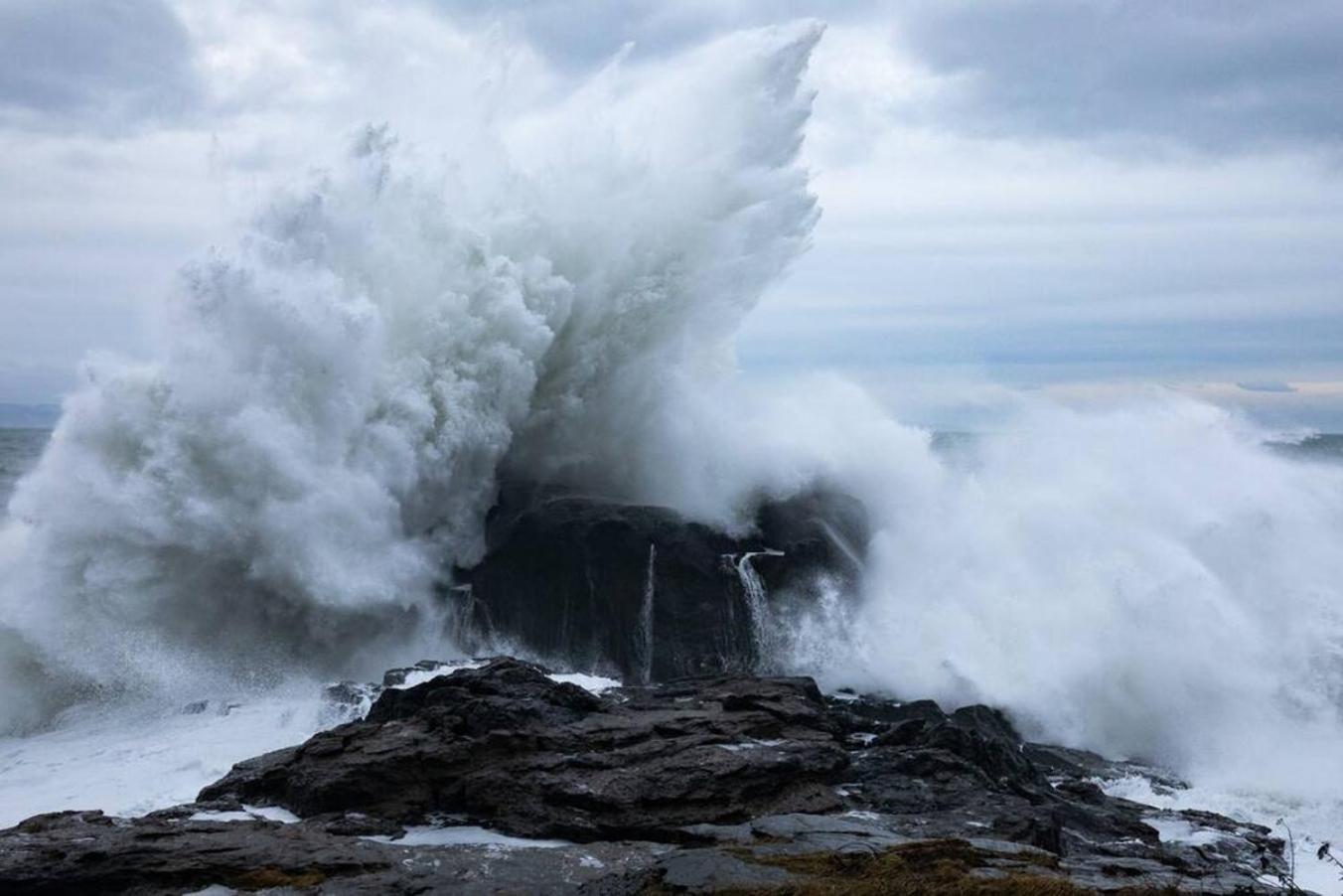 The Great Escape - Port Renfrew