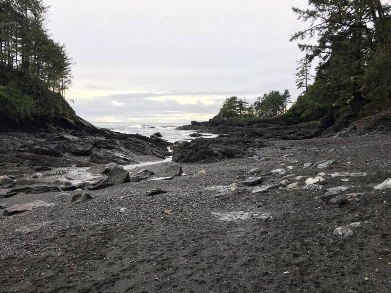 The Great Escape - Holiday home Port Renfrew