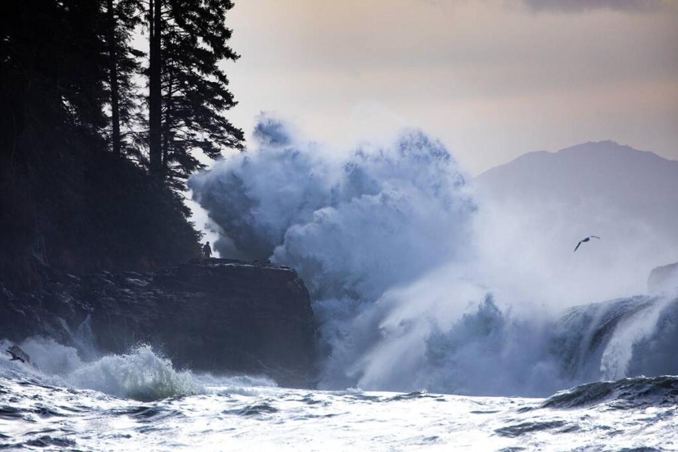 Holiday home The Great Escape - Port Renfrew