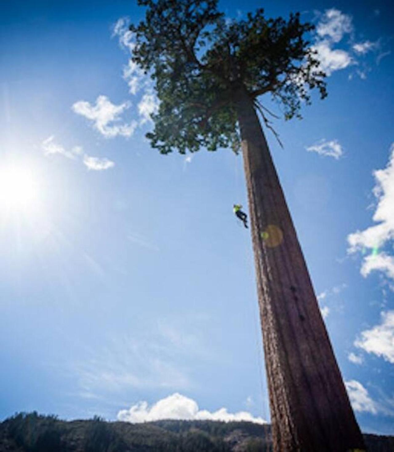 The Great Escape - Holiday home Port Renfrew