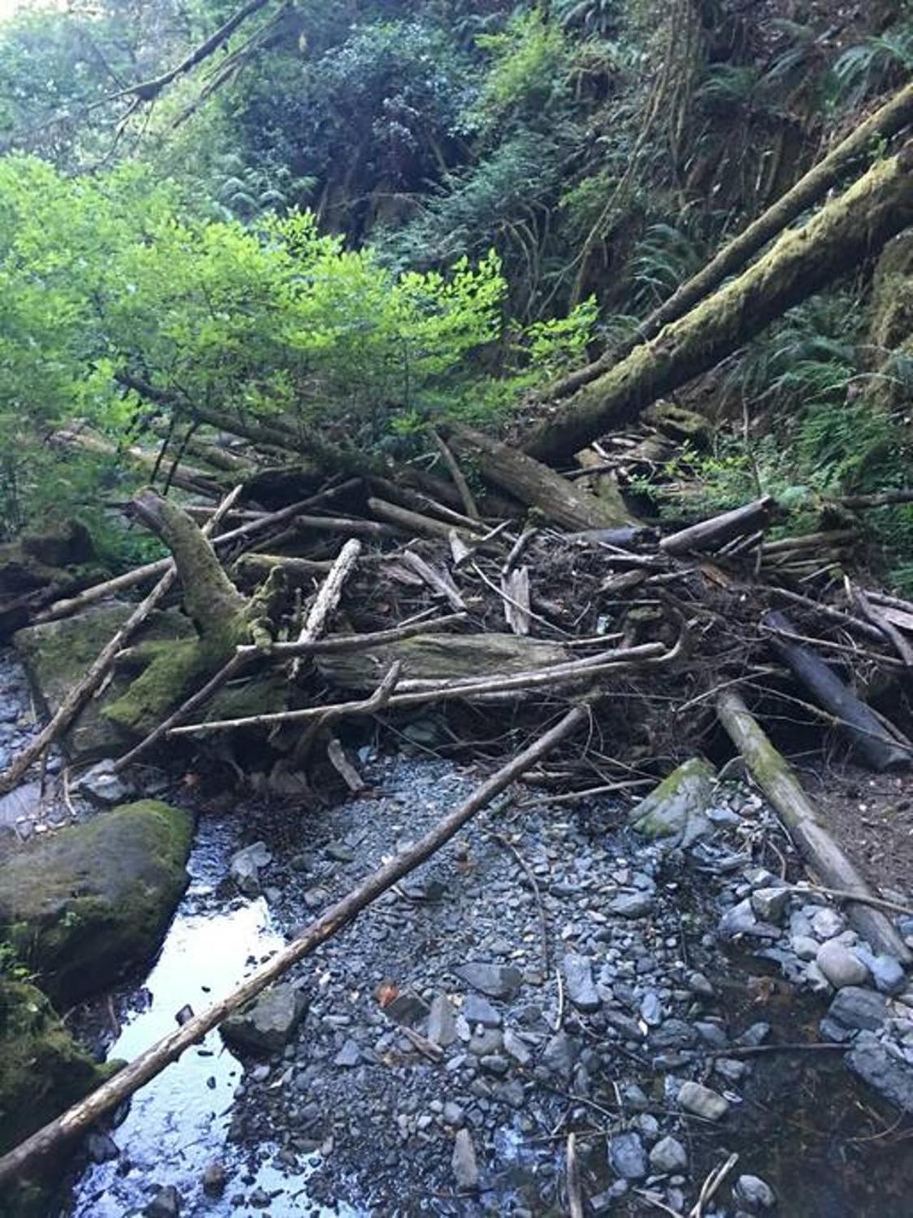 Holiday home The Great Escape - Port Renfrew