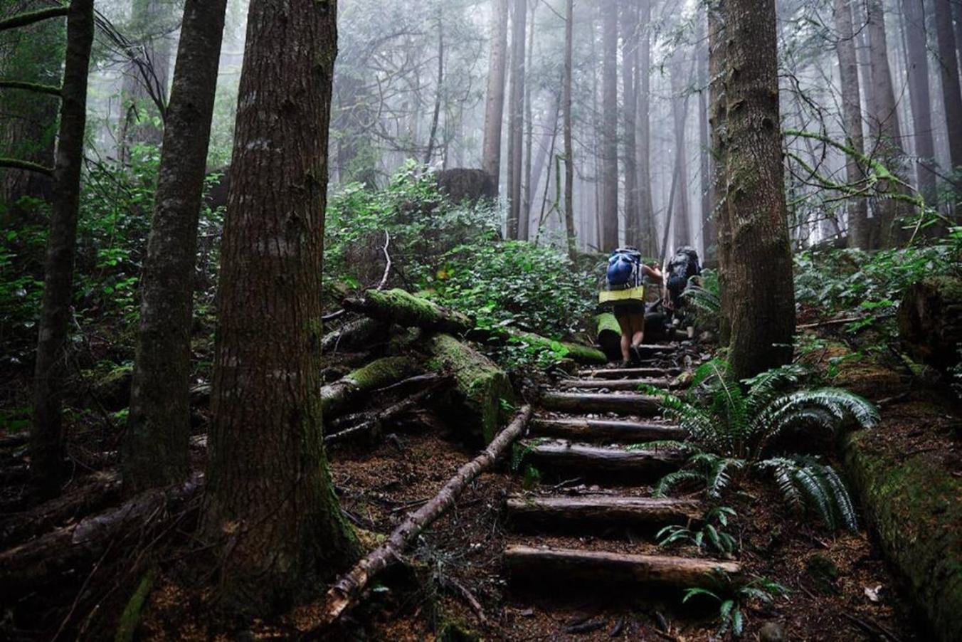 The Great Escape - Holiday home Port Renfrew