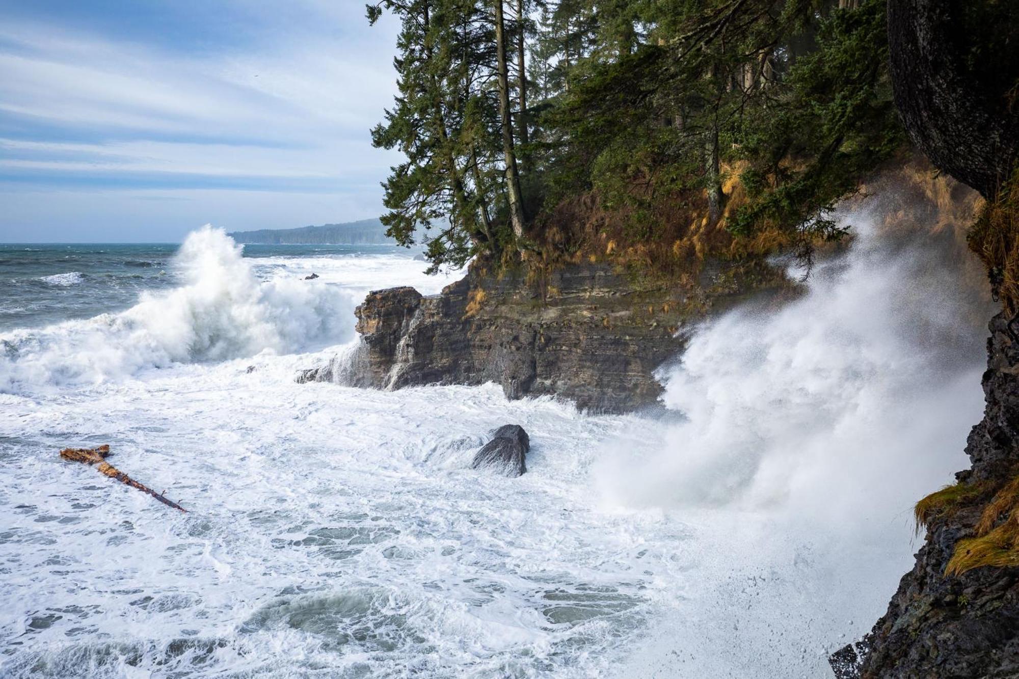 The Great Escape - Holiday home Port Renfrew